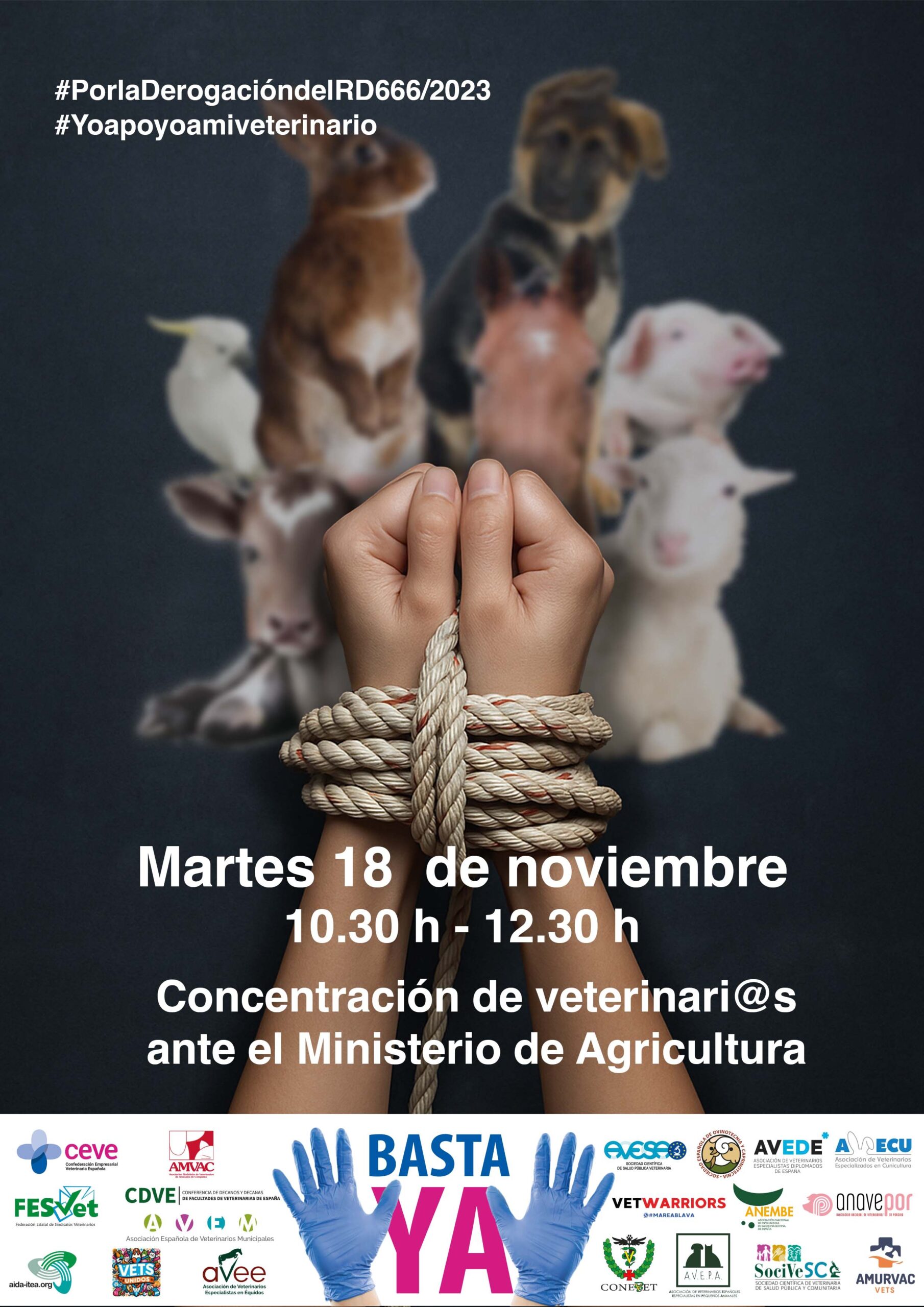 El CONSEJO VASCO RESPALDA LA CONCENTRACIÓN DEL 18N PARA LA DEROGACIÓN DEL R.D. 666/2023